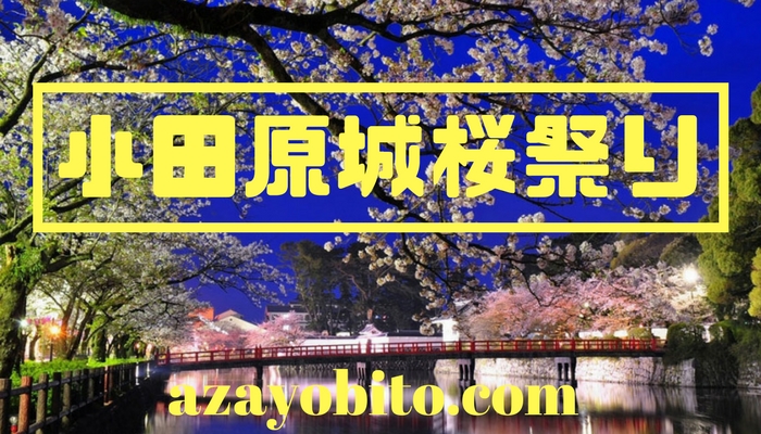 小田原城桜祭り18の見頃や開花状況 ライトアップ時間や駐車場 Yobitosblog