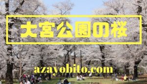 大宮公園桜祭り2020の見頃や開花状況｜ライトアップ時間や駐車場