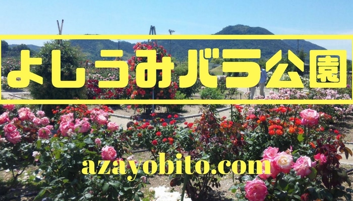 よしうみバラ公園のバラ祭り19の開花状況 イベントへのアクセス Yobitosblog