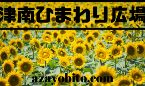津南ひまわり広場
