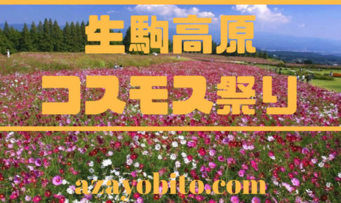 生駒高原コスモス祭り