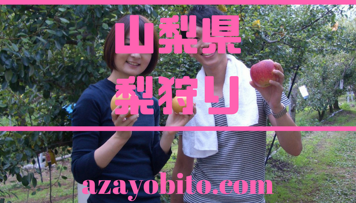 山梨県の梨狩りおすすめランキング 食べ放題についても Yobitosblog
