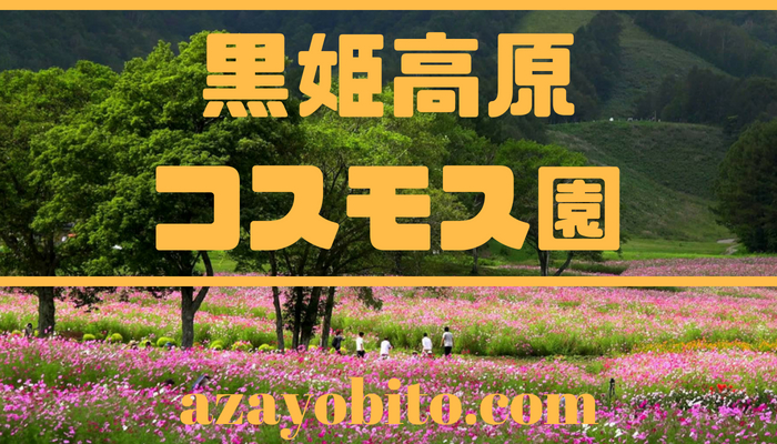 黒姫高原コスモス園開花状況や見ごろ 割引クーポン券やライブカメラについても Yobitosblog