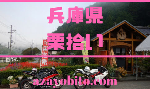 兵庫県栗拾い