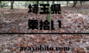 埼玉県の栗拾いおすすめランキング！