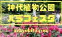神代植物公園バラフェスタ2019の見頃や開花状況｜駐車場やアクセスも