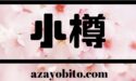 小樽の桜のお花見名所2018｜開花予想や見頃とおすすめ２スポット！